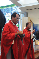 H1N1 concerns prompt liturgical changes