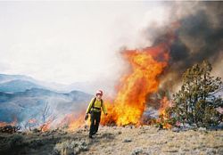Fire fighter protects alma mater from destruction