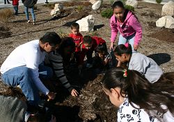 Children plant daffodils to remember loved ones