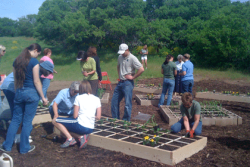 'Sow for Humanity' Garden is donated, planted