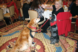 Catholic Woman's League hosts annual benefit