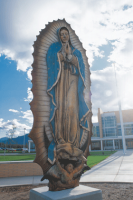 Celebremos a San Juan Diego y a la Virgen de Guadalupe