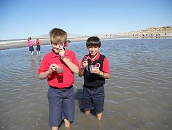 Education at the lakeshore