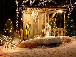 Christmas Grove shines on the lives of those in need