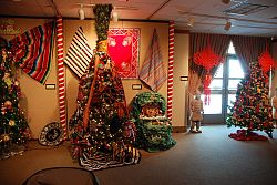 Los ?&aacute;rboles de la diversidad' unen comunidades