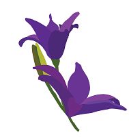 Lenten fasting challenges us to focus on God