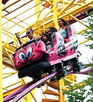 More than 5,000 attended the Knights of Columbus All State Catholic Day at Lagoon 