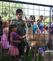 St. Francis Xavier Festival