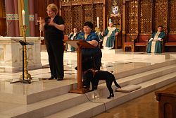 Local women on national Catholic disability board