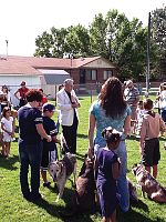 Celebrating the feast of Saint Francis of Assisi