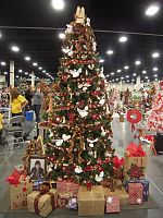 Saint Francis Xavier honors graduate at the Festival of Trees