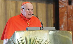 Celebraci&oacute;n de Oro para el Arzobispo Niederauer