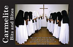 Carmelite fundraiser cookbook available