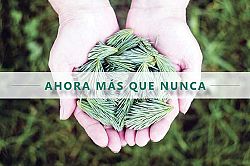 Nueva campa�a urge el apoyo financiero para la Iglesia Cat&oacute;lica en Utah