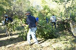 Voluntarios Cat&oacute;licos tienden una mano de ayuda despu&eacute;s de la tormenta