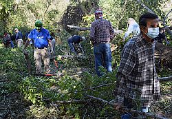 Catholic volunteers help clean up after storm