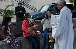 Bendici&oacute;n de los Animales 