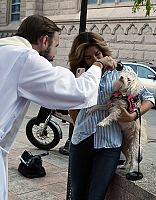 Bendici&oacute;n de los Animales 