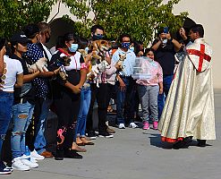 Bendici&oacute;n de los Animales 