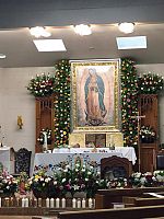 Celebrando a Nuestra Se�ora de Guadalupe