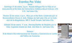 Esfuerzos Pro-vida son parte de los eventos diocesanos