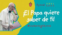 Encuesta en l&iacute;nea para el proceso S&iacute;nodal