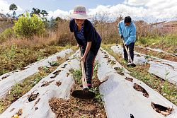 Viaja con nosotros: Una historia de esperanza de Guatemala
