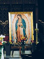 Celebraciones de Nuestra Se�ora de Guadalupe Alrededor de la Di&oacute;cesis
