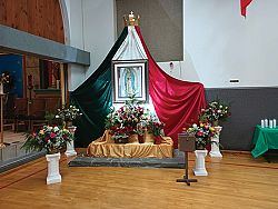 Our Lady of Guadalupe's message gives hope, Bishop Solis says
