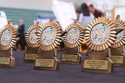 Our Lady of Lourdes student claims top prize at science fair