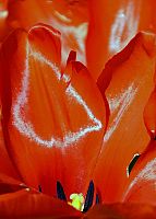 You Win Some, You Lose Some