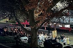 Celebraci&oacute;n de Nuestra Se�ora de Guadalupe en la Catedral de la Magdalena
