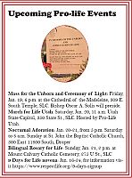 Pro-life activities scheduled for January