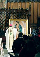 Cathedral celebrates Our Lady of Guadalupe 