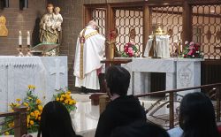 Cientos se unen a las Carmelitas en la celebraci&oacute;n universal del jubileo de las religiosas consagradas