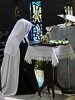 Monja Carmelita profesa sus votos solemnes
