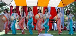 Annual Vietnamese Carnival