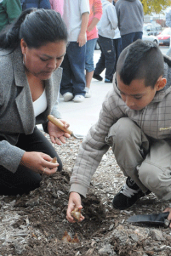 Annual Daffodil Day honors victims of gun violence
