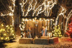 Donations light Saint Benedict's Nativity scene