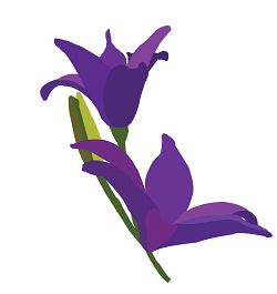 Lenten fasting challenges us to focus on God