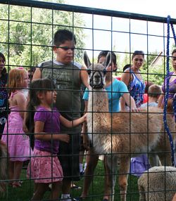 St. Francis Xavier Festival
