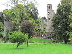 Utah pilgrims visit Ireland, find their heritage