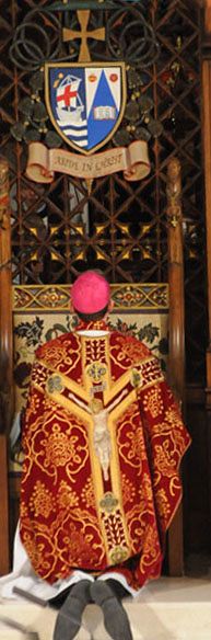 Reflexiones diarias para el 'Fortnight for Freedom'