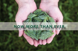 New DDD campaign requests financial support of Catholic Church in Utah