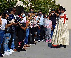Bendici&oacute;n de los Animales 