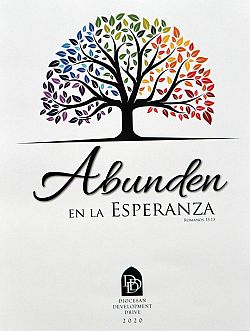 Solicitud del Obispo Solis para apoyar a la Campa�a de Desarrollo Diocesano 2020