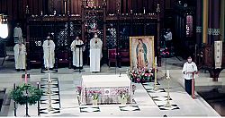 Celebrando a Nuestra Se�ora de Guadalupe