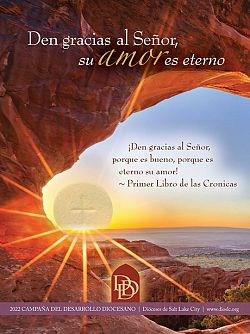 La Campa�a del Desarrollo Diocesano anima el Esp&iacute;ritu de la gratitud
