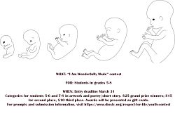 Entries sought for Respect for Life youth contest