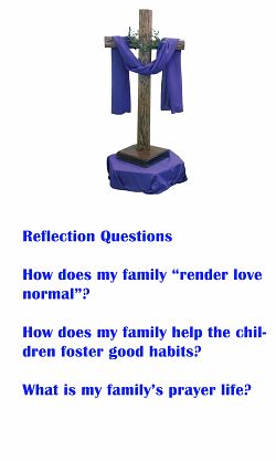 The family has a specific call:to render love normal